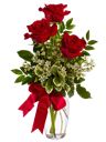 Tre rose rosse confezione elegante