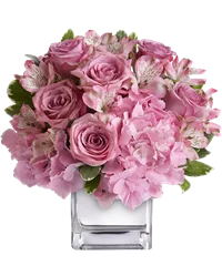 Bouquet compatto di rose e ortensia rosa